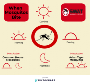 mostcommon biting insects in Florida and why you need mosquito misting systems