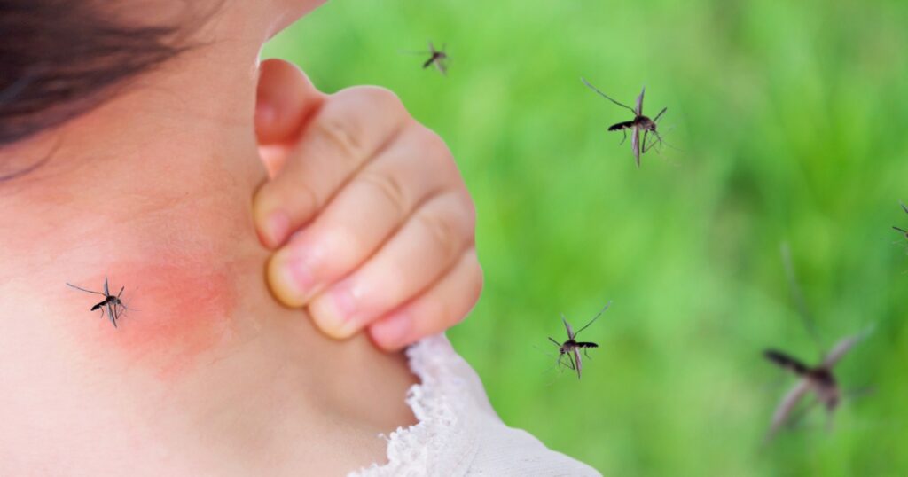 mosquito spread virus