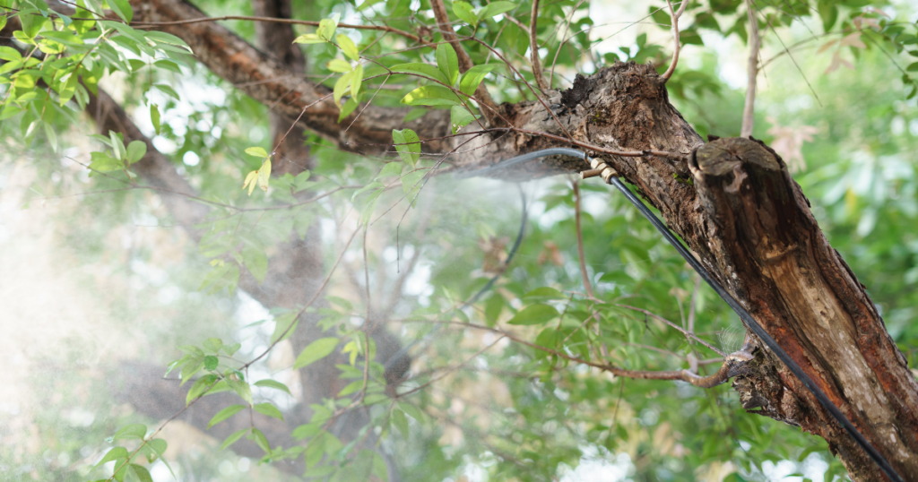 Understanding the Positive Impact of Mosquito Misting Systems - SWAT ...