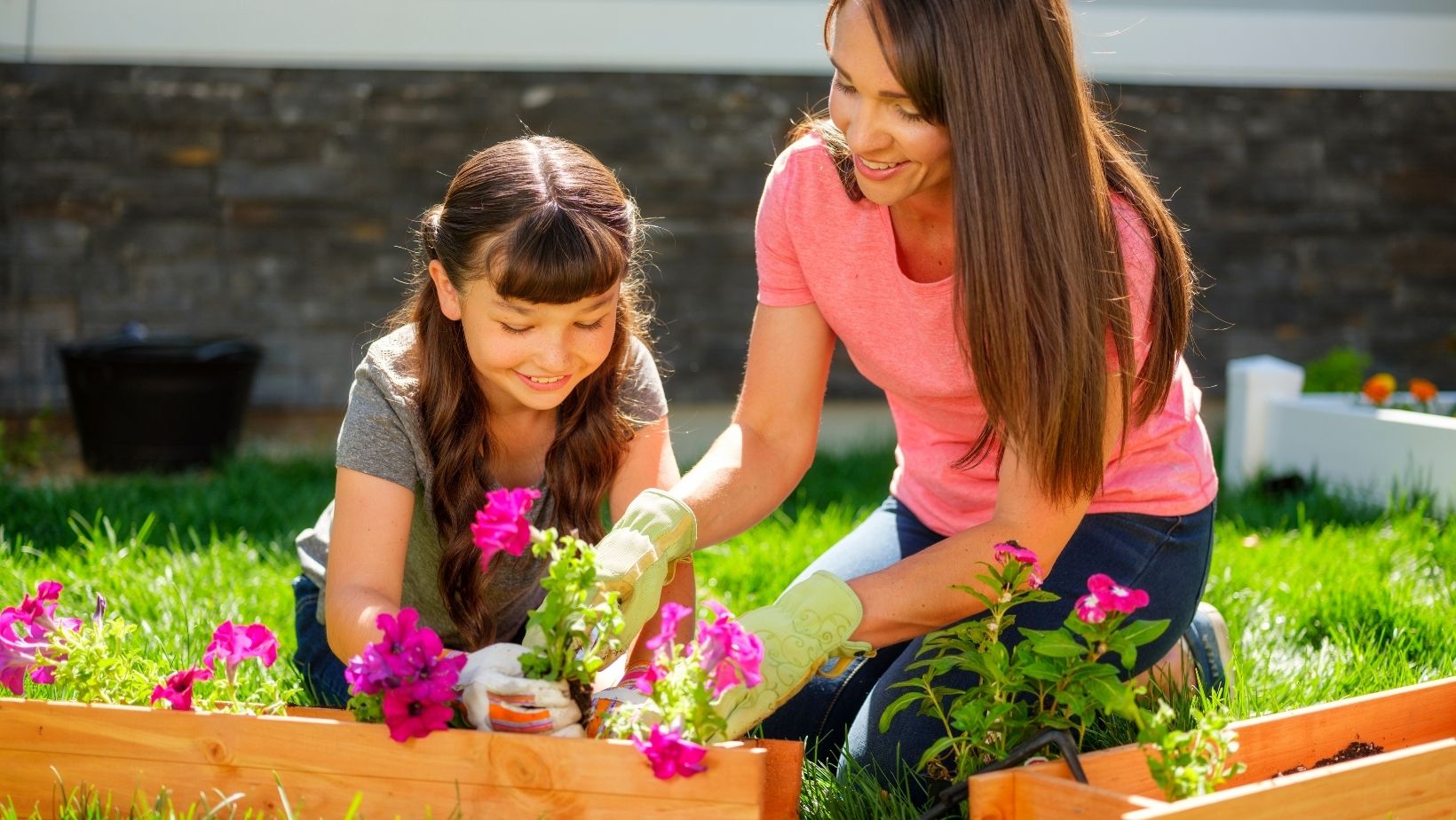 Backyard Plants That Help Repel Mosquitos