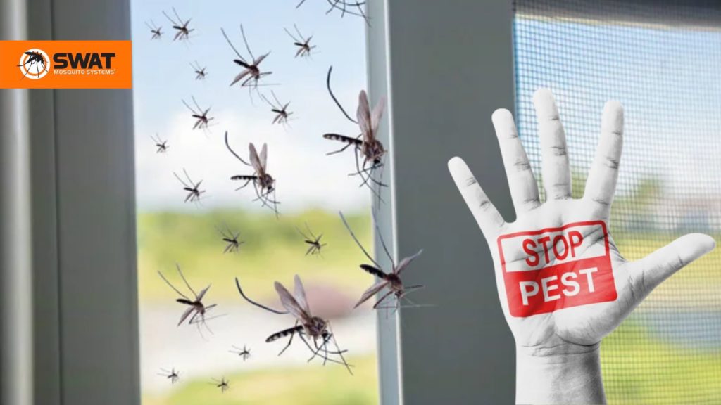 How to Get Rid of Mosquitoes inside Your Florida Home