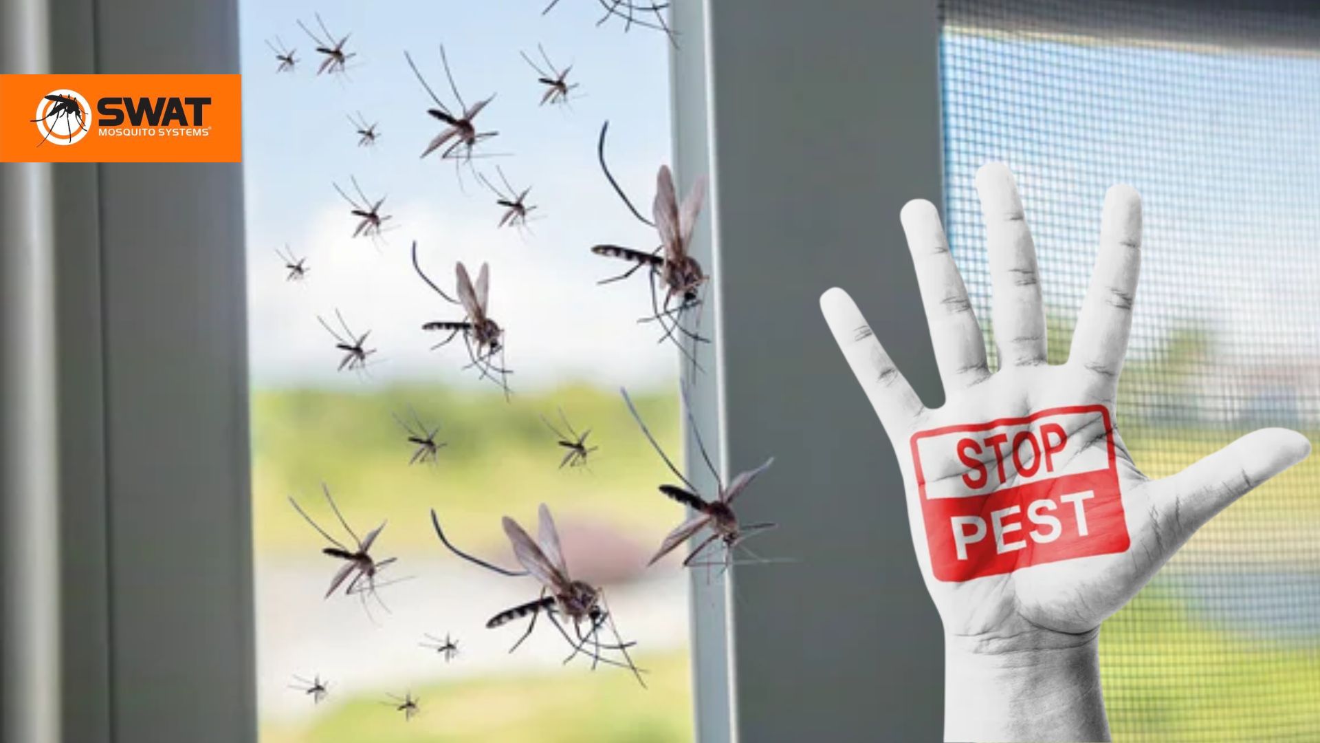 How to Get Rid of Mosquitoes Inside Your Florida Home