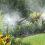 Do Mosquito Misting Systems Work Better Than Mosquito Zappers?