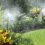 Do Mosquito Misting Systems Work Better Than Mosquito Zappers?
