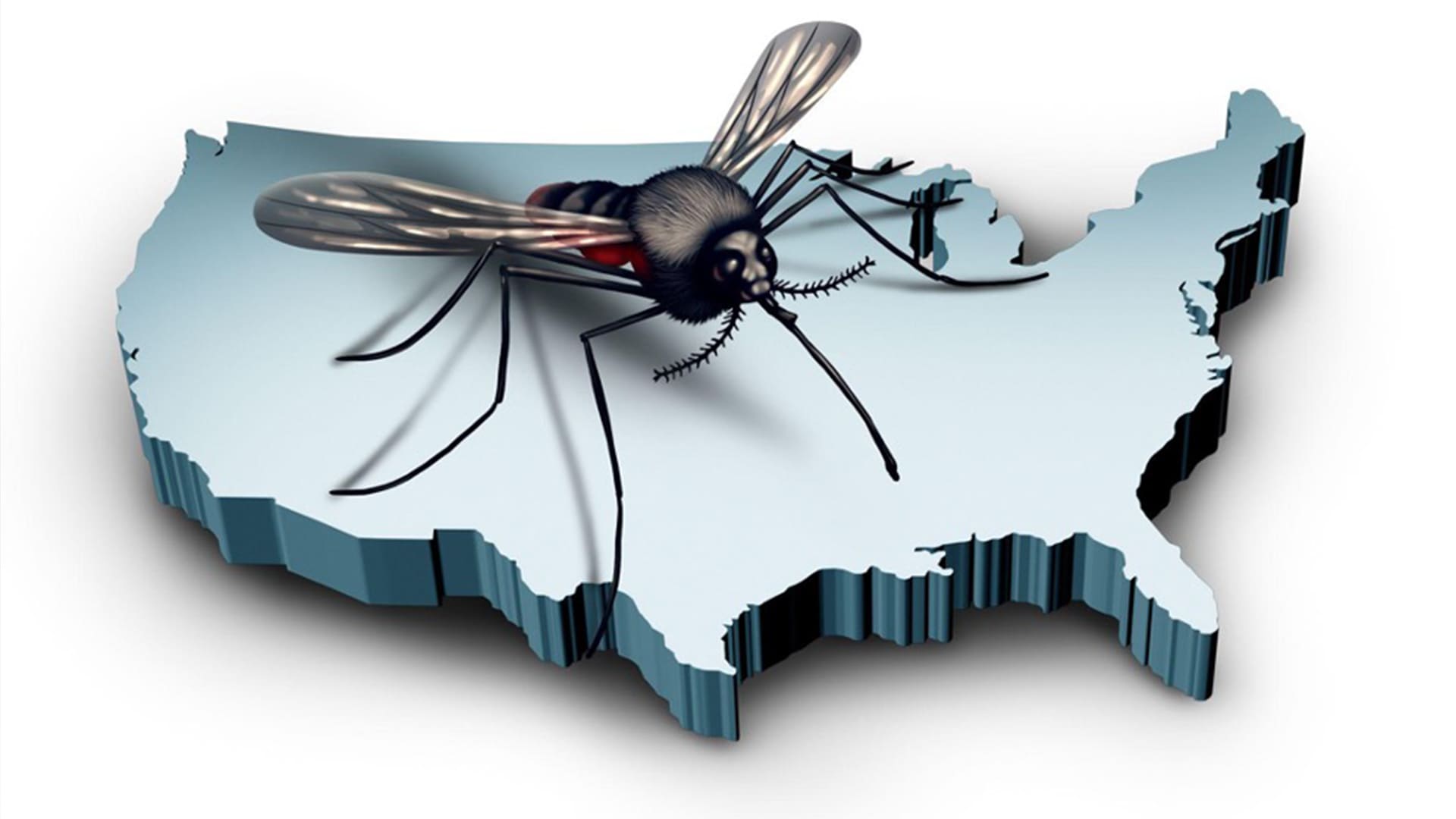 What’s The #1 Worst State For Mosquitoes? Florida