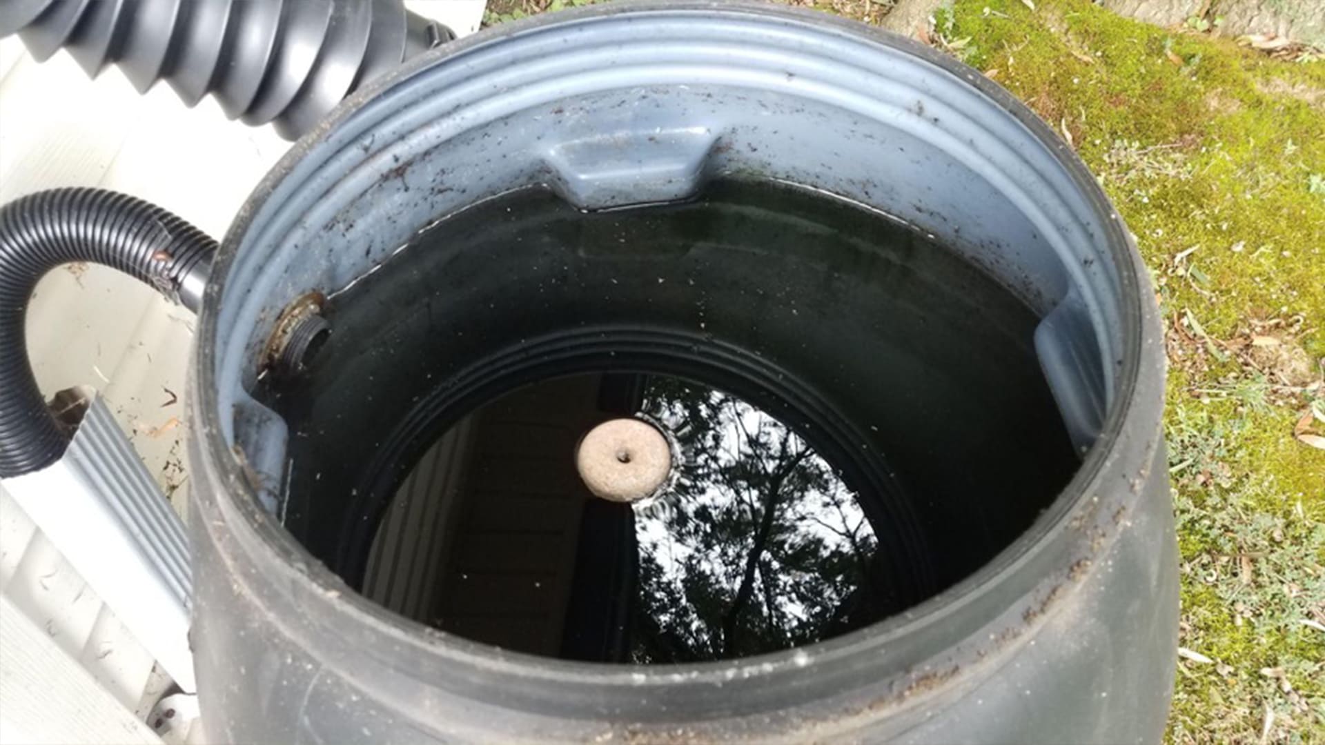 Tips For Keeping Your Rain Barrel Mosquito-Free