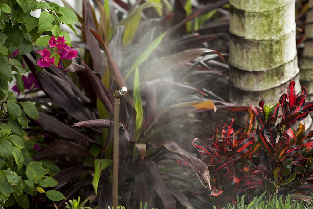 Mosquito Misting vs Traditional Sprays What’s Best for Your Home