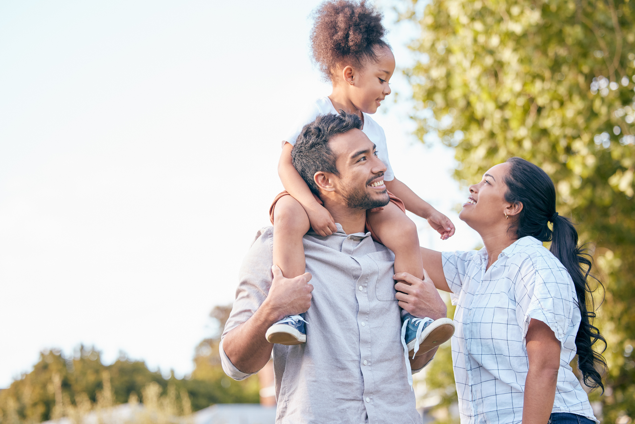 Are Mosquito Control Systems Safe for Your Family and Pets?